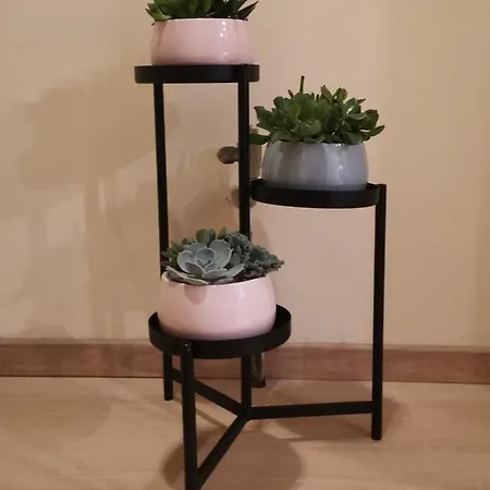 Laerte Palace Mogliano Veneto