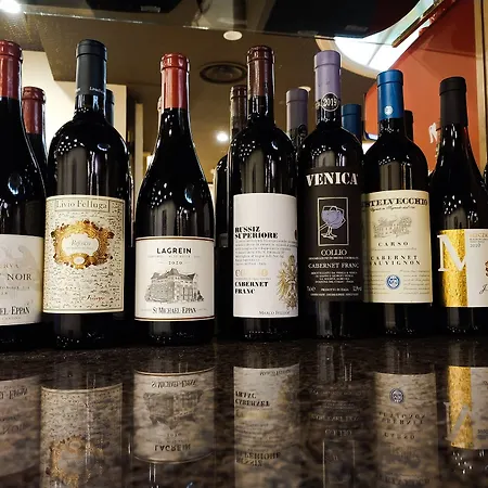 Hotel Laerte Palace Mogliano Veneto