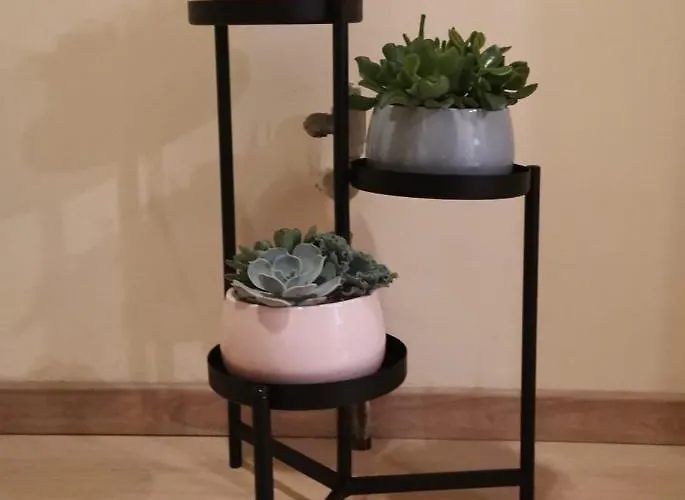 Laerte Palace 몰리아노베네토